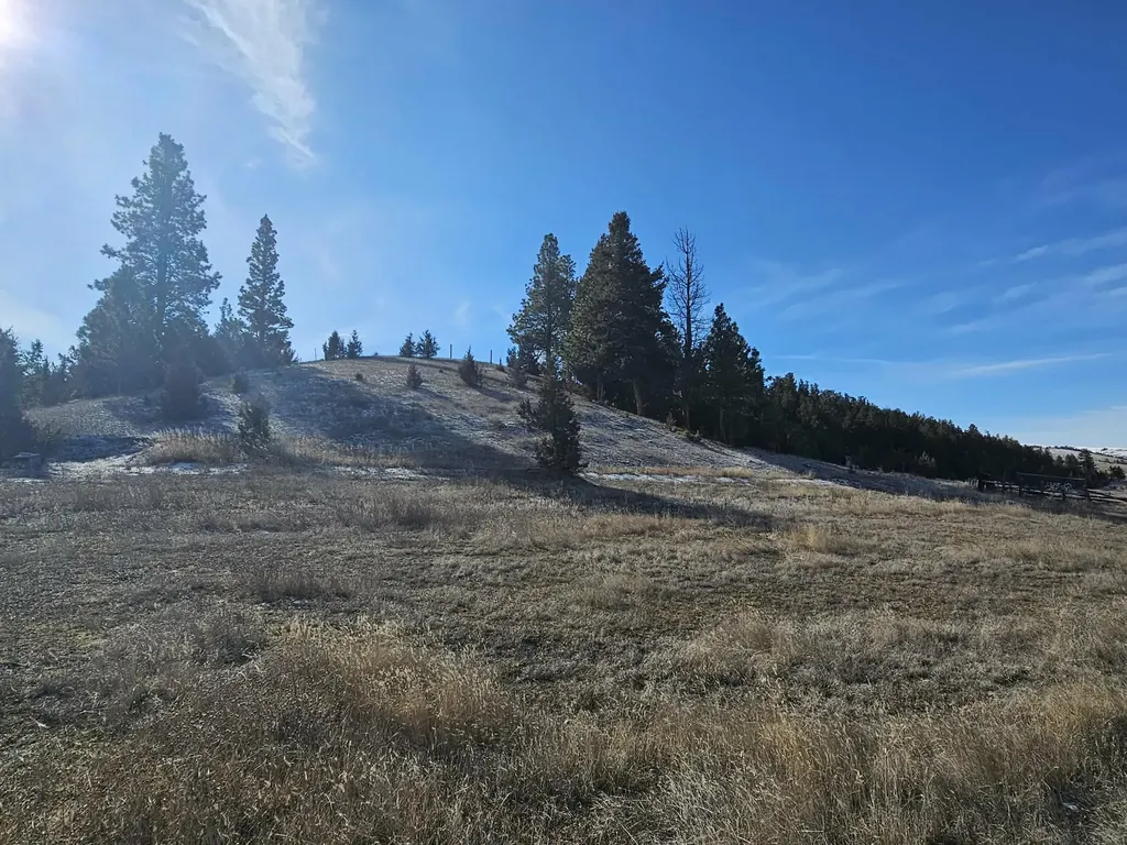 198 Mullan Trail Road Gold Creek MT 59733