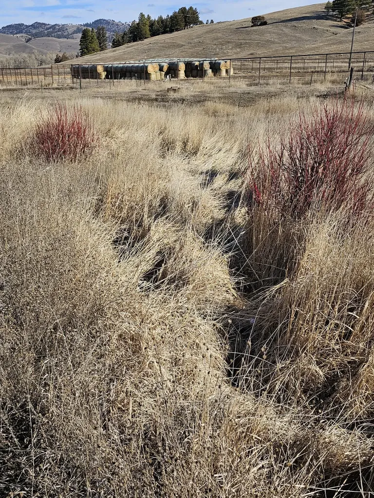 198 Mullan Trail Road Gold Creek MT 59733