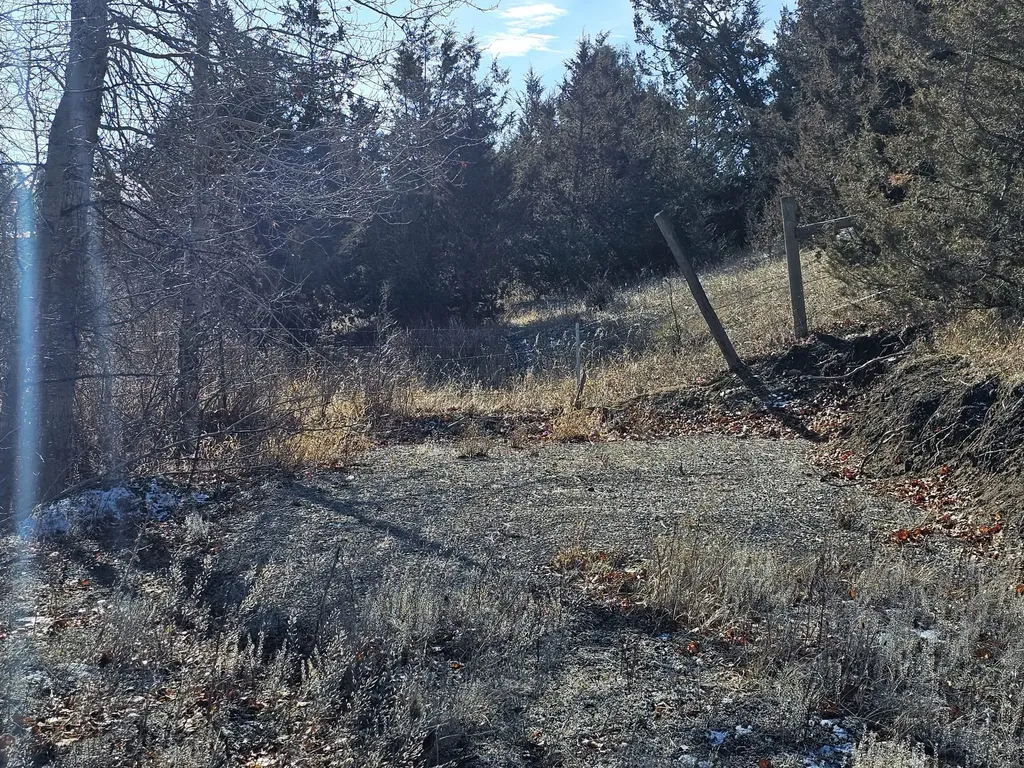 198 Mullan Trail Road Gold Creek MT 59733