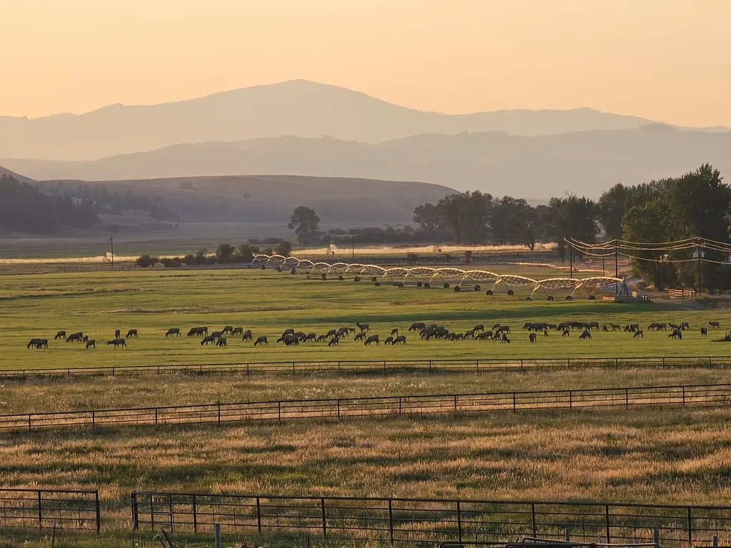 198 Mullan Trail Road Gold Creek MT 59733