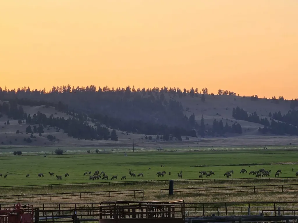 198 Mullan Trail Road Gold Creek MT 59733