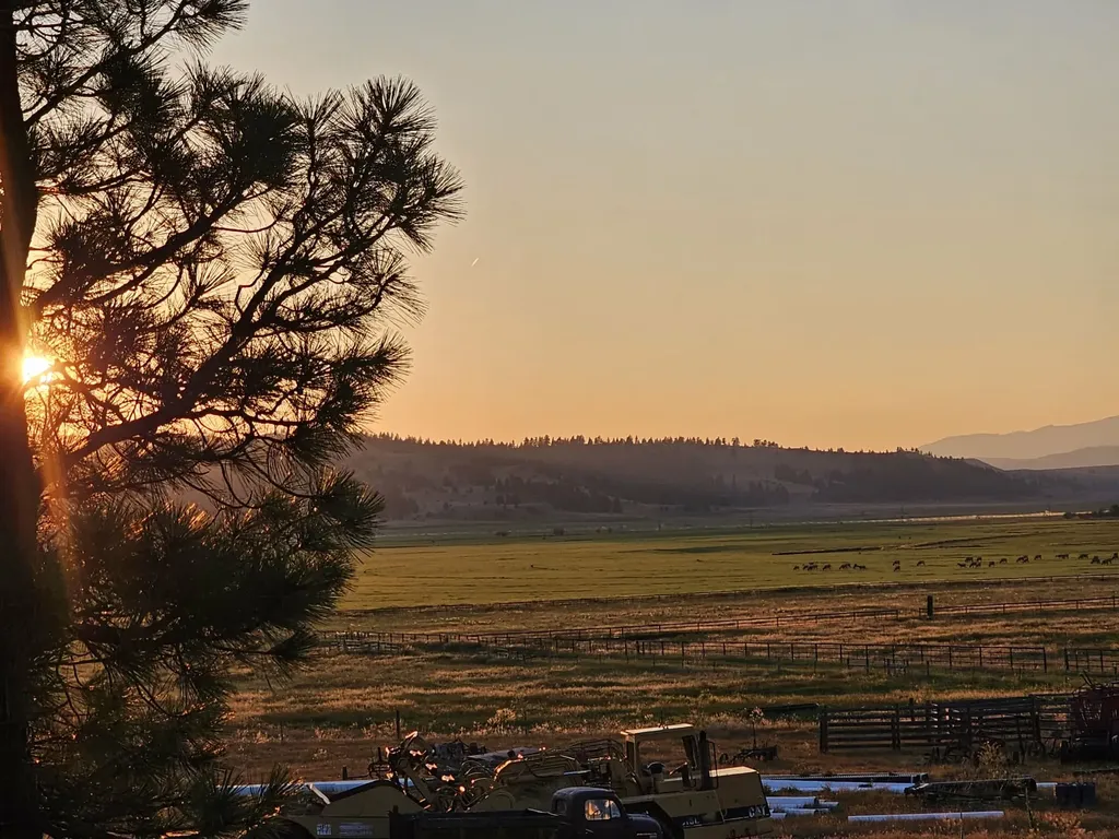 198 Mullan Trail Road Gold Creek MT 59733