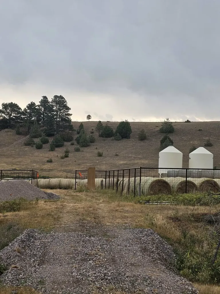 198 Mullan Trail Road Gold Creek MT 59733