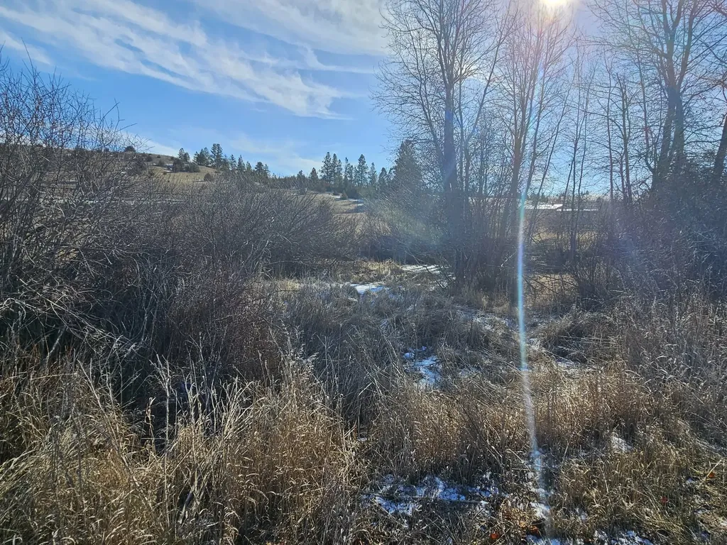 198 Mullan Trail Road Gold Creek MT 59733