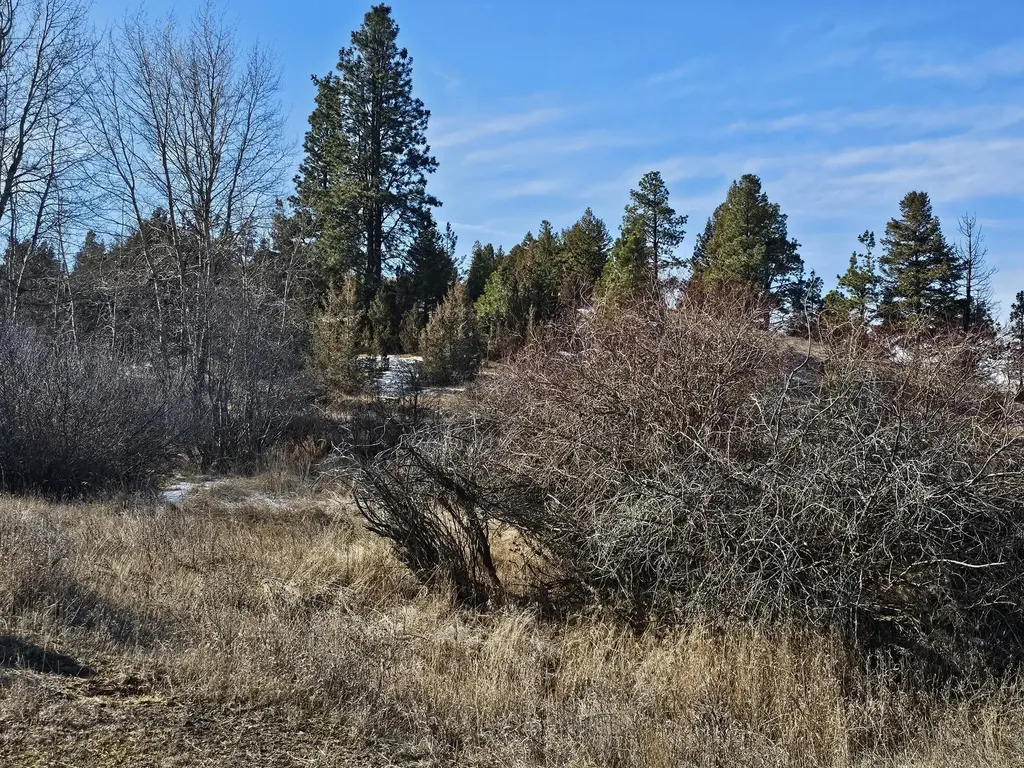 198 Mullan Trail Road Gold Creek MT 59733
