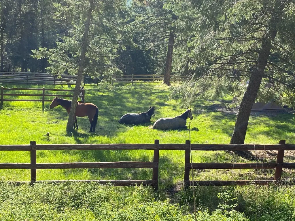 4332 Grave Creek Road Eureka MT 59917