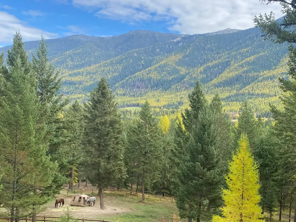4332 Grave Creek Road Eureka MT 59917