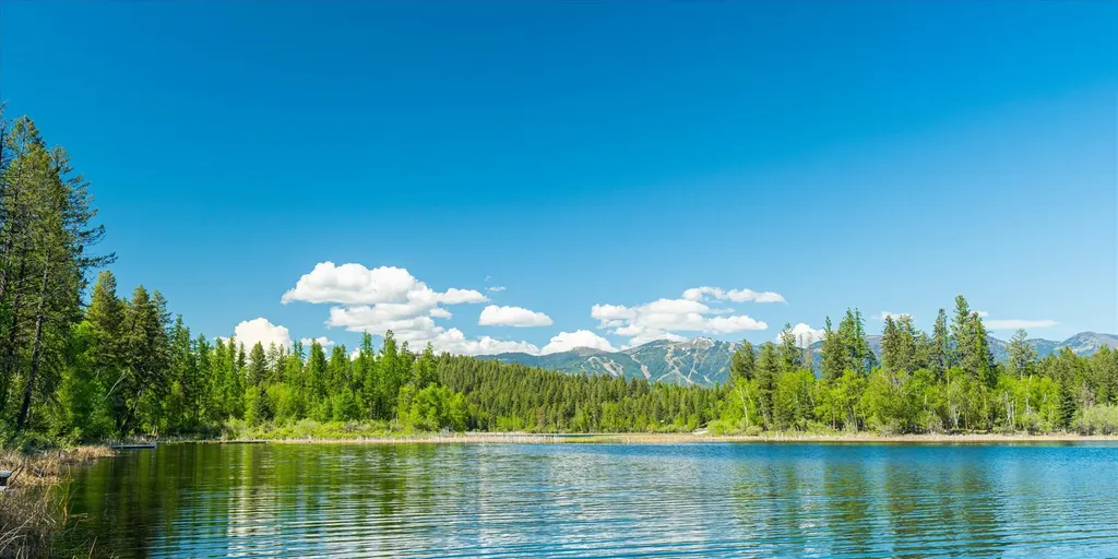 655 Leksand Trail Whitefish MT 59937