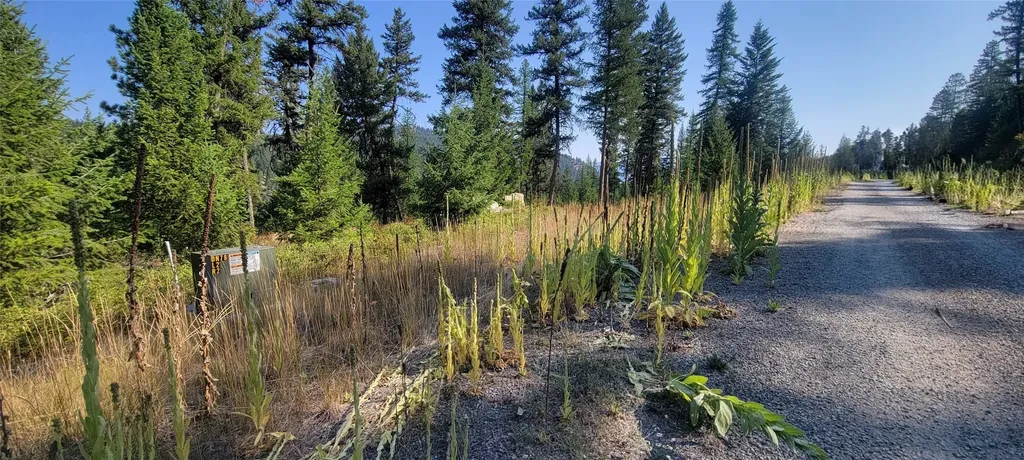 Lot 9 Angus Drive Rexford MT 59930