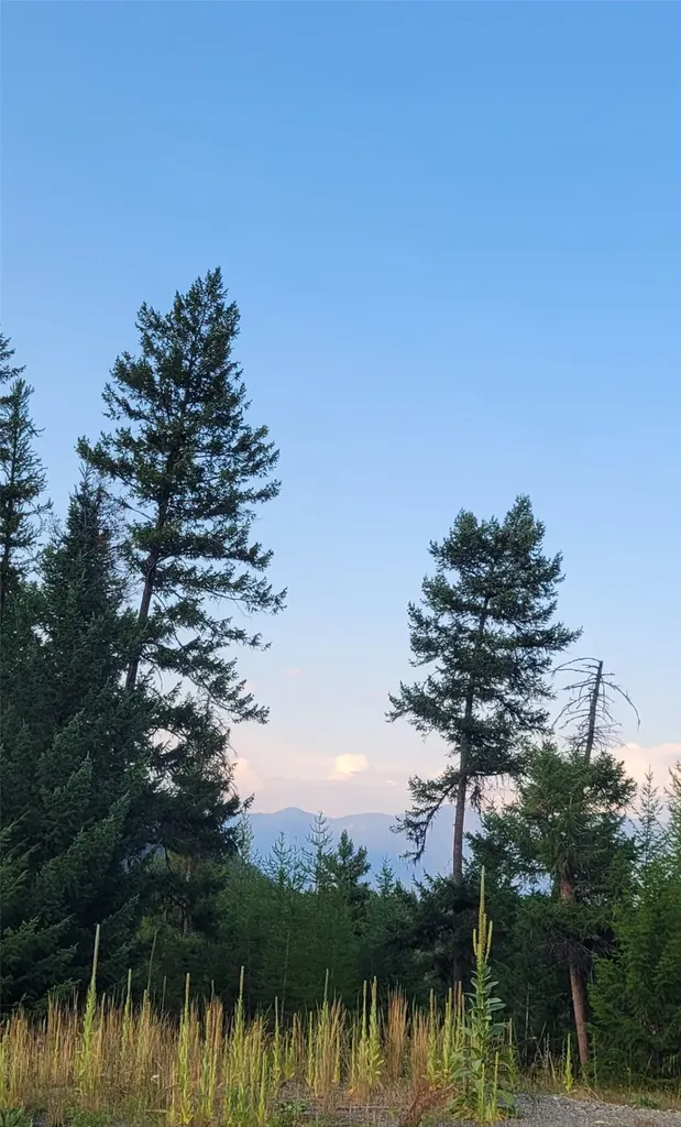 Lot 9 Angus Drive Rexford MT 59930