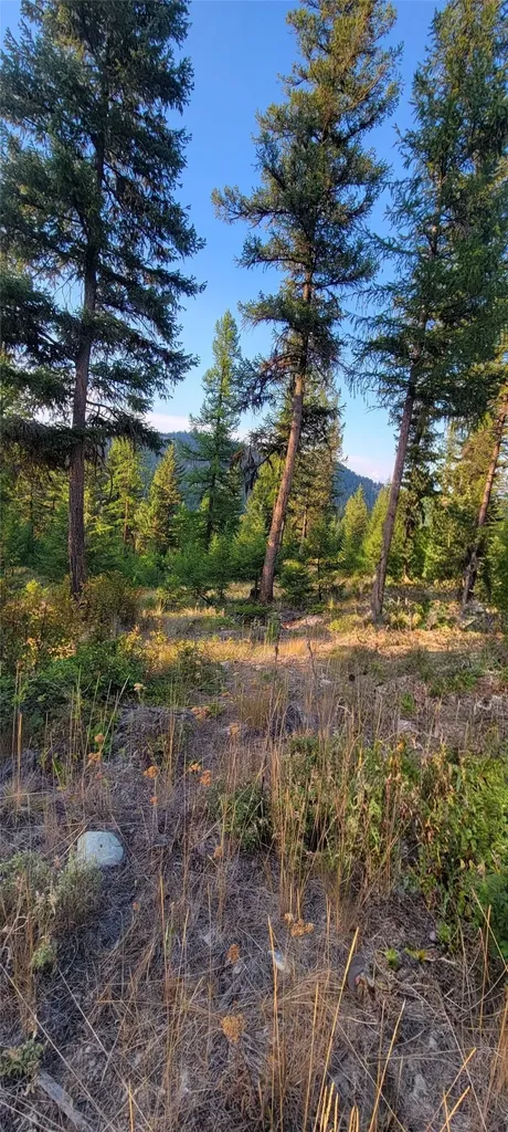 Lot 9 Angus Drive Rexford MT 59930