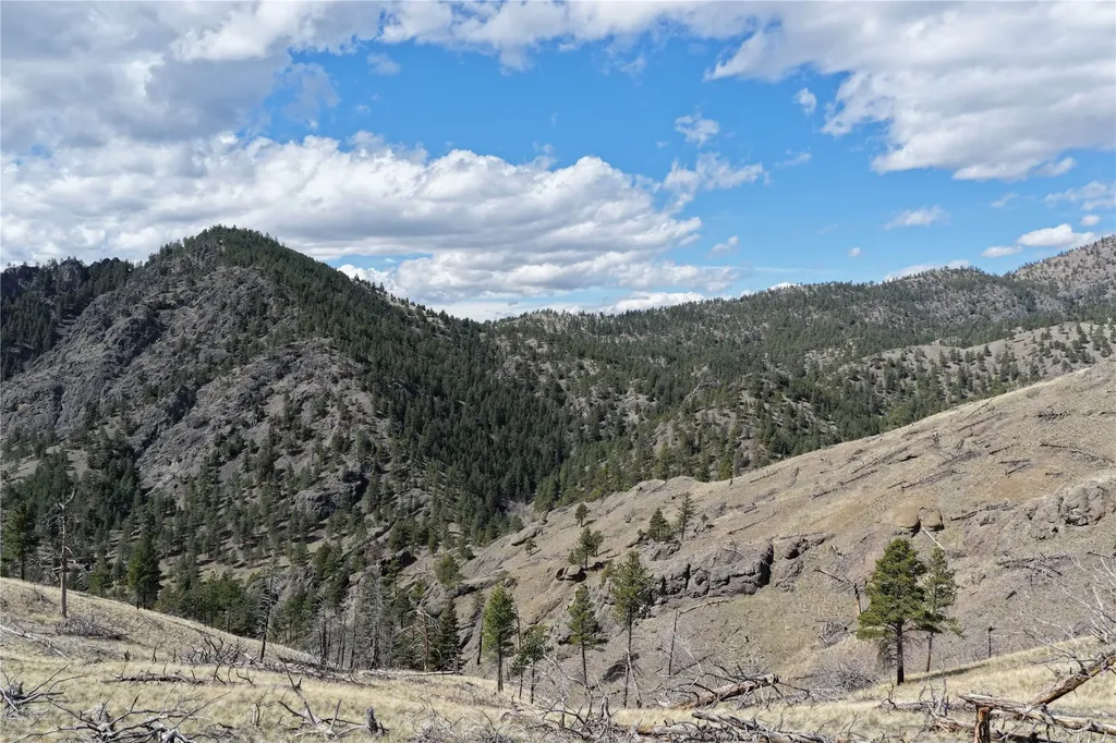 Tbd Big Pine Lane Cascade MT 59421