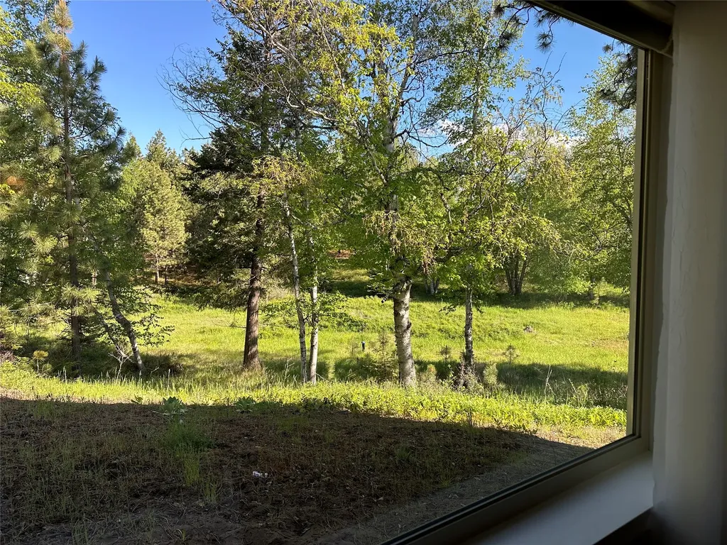 110 Conifer Lane Bigfork MT 59911