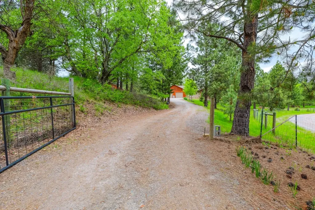 110 Conifer Lane Bigfork MT 59911
