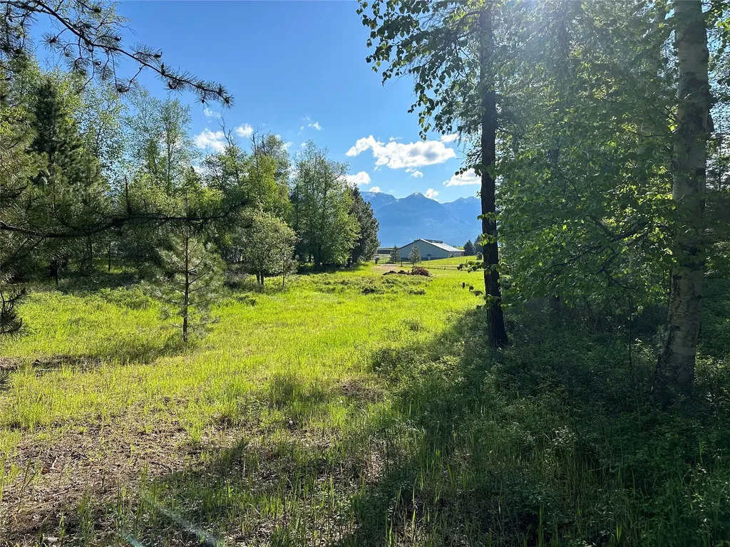 110 Conifer Lane Bigfork MT 59911
