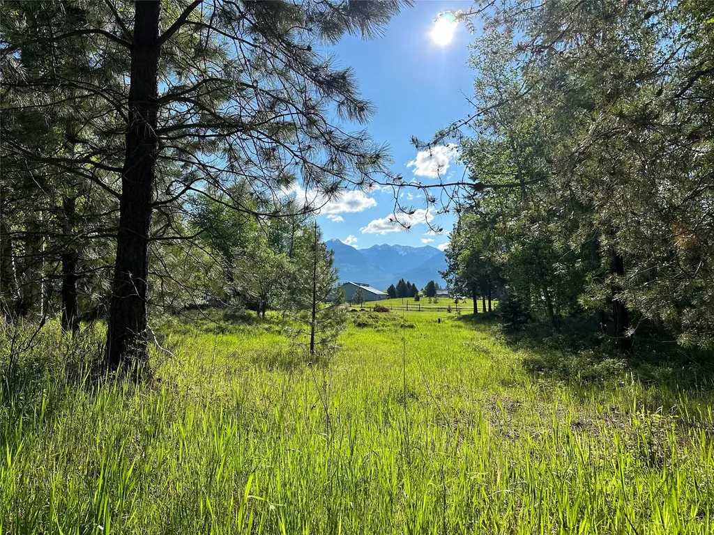 110 Conifer Lane Bigfork MT 59911