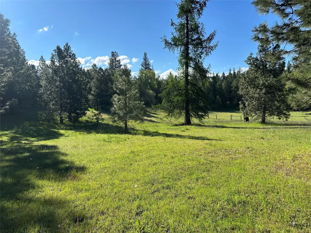 110 Conifer Lane Bigfork MT 59911