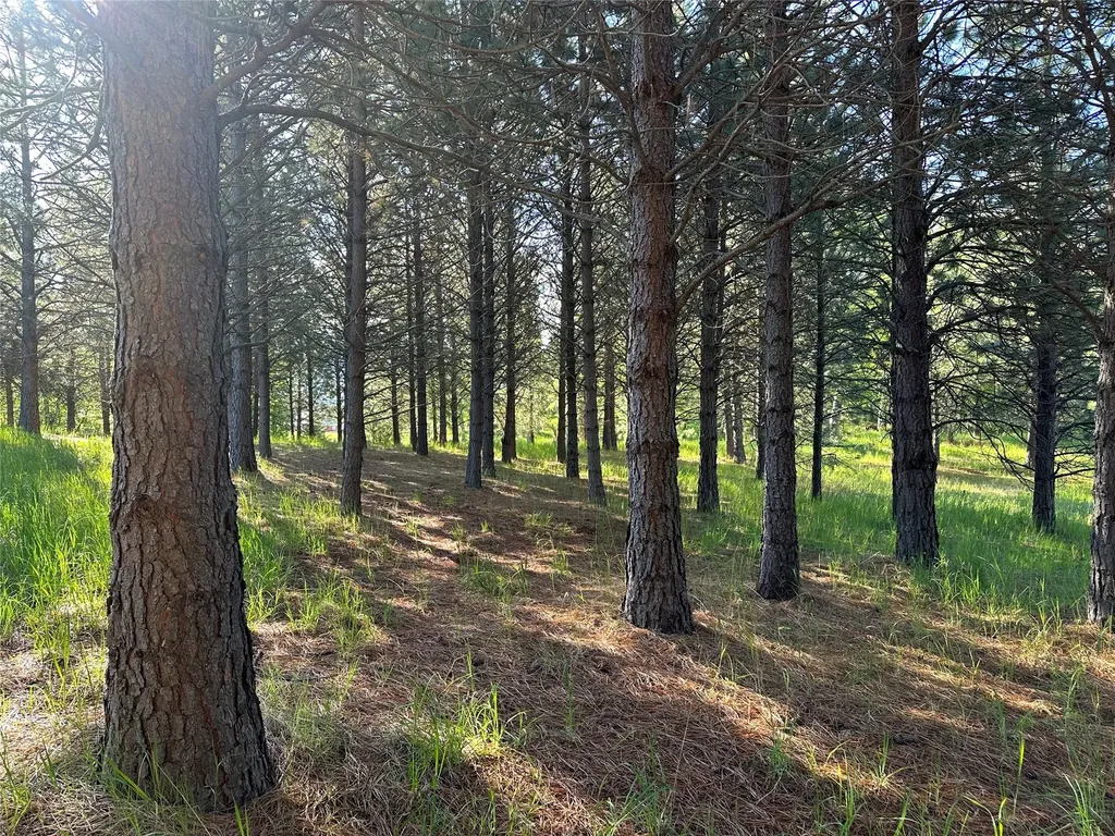 110 Conifer Lane Bigfork MT 59911