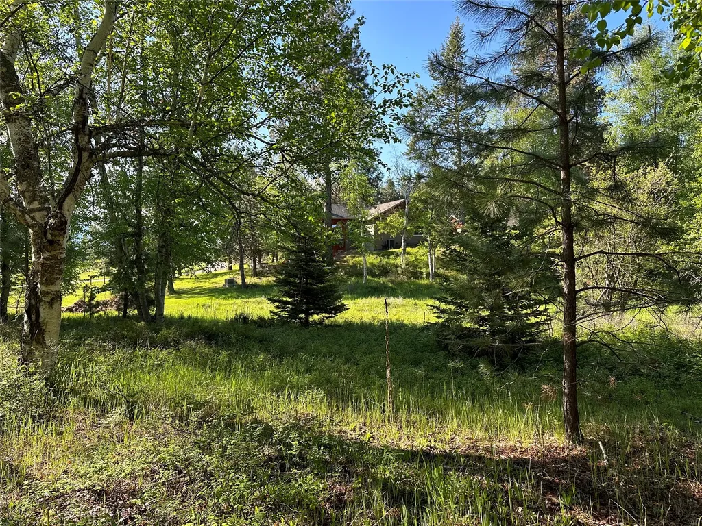 110 Conifer Lane Bigfork MT 59911