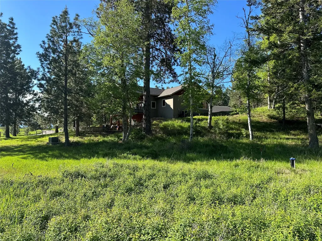 110 Conifer Lane Bigfork MT 59911