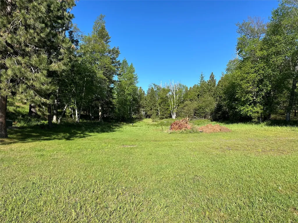 110 Conifer Lane Bigfork MT 59911