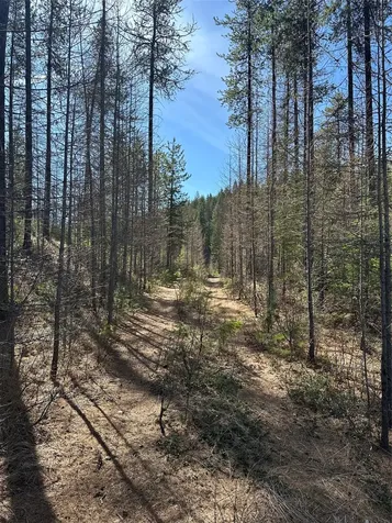 480 & 1480 Tally Lake Road Whitefish MT 59937