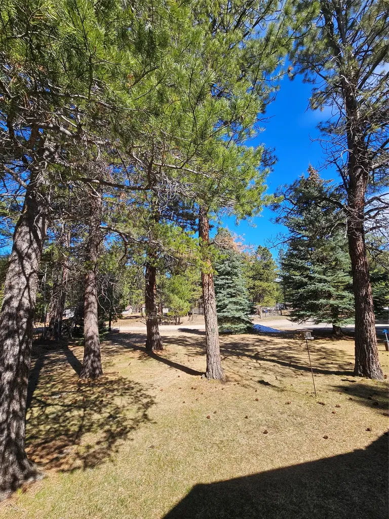 4511 Snow Fleury Lane Lincoln MT 59639