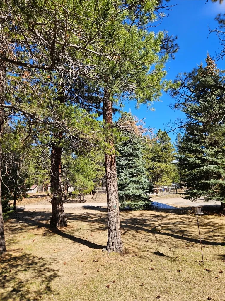 4511 Snow Fleury Lane Lincoln MT 59639
