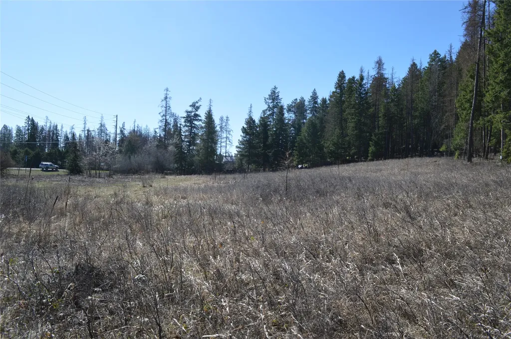 4480 Mount Highway 40 W Whitefish MT 59937