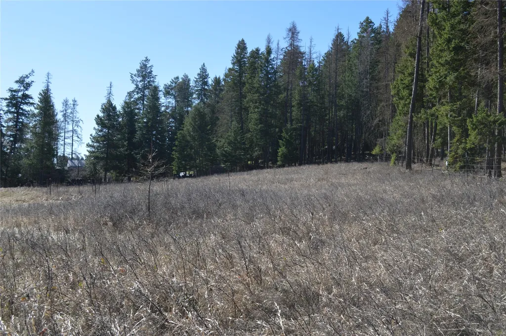 4480 Mount Highway 40 W Whitefish MT 59937