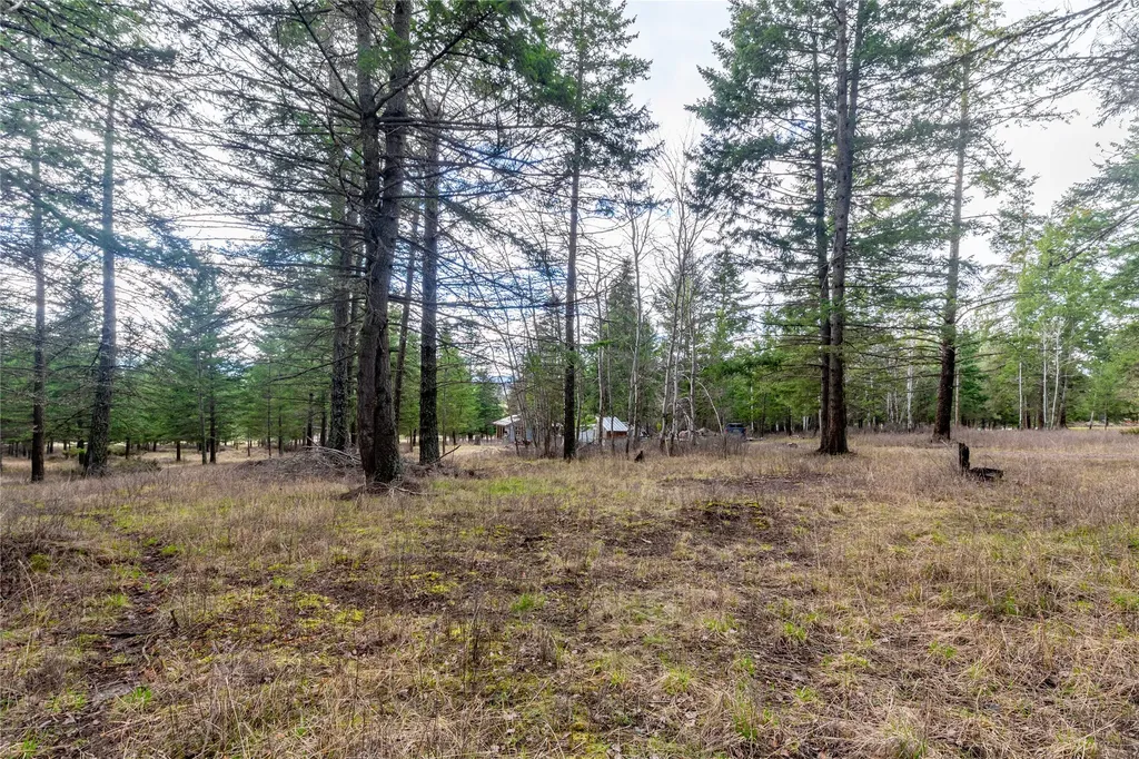 39097 Minesinger Lane Polson MT 59860