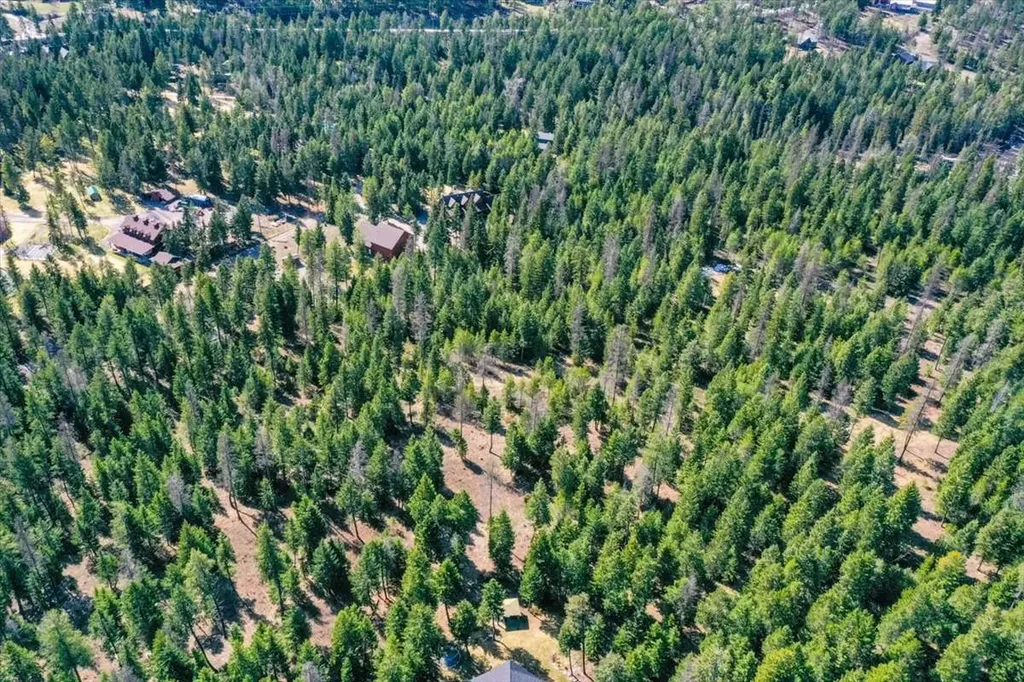 81 Scholar Lane Whitefish MT 59937