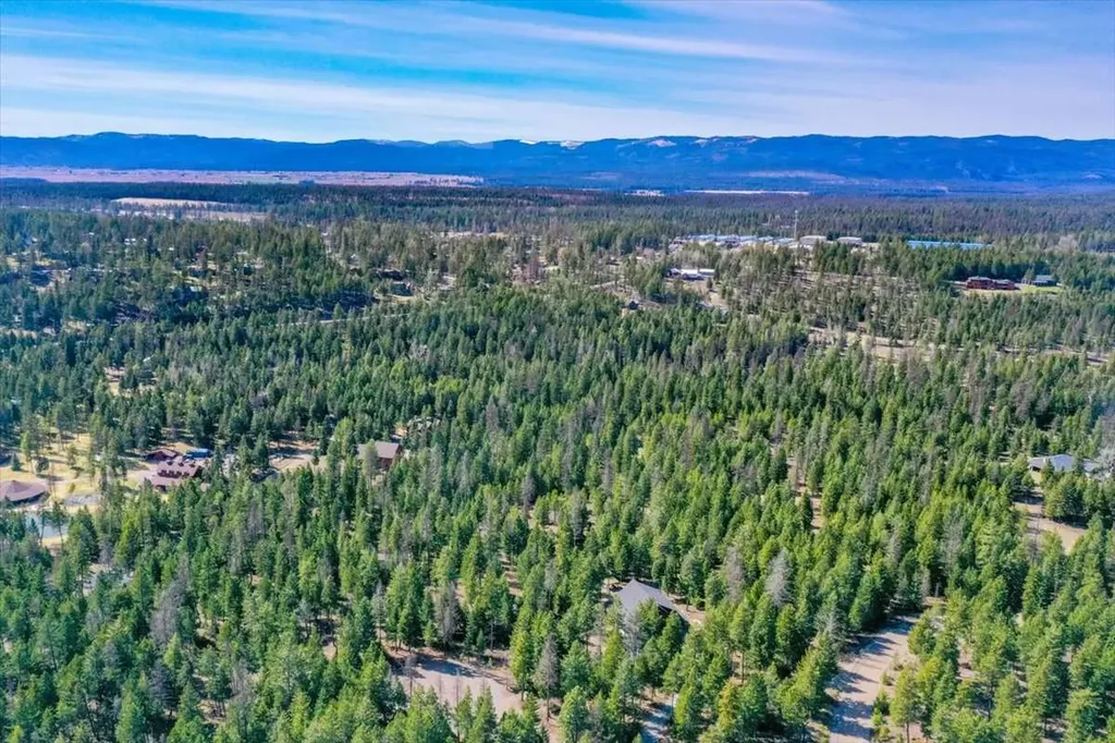 81 Scholar Lane Whitefish MT 59937