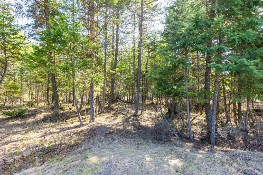 81 Scholar Lane Whitefish MT 59937