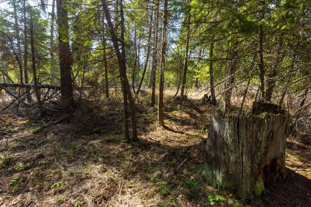 81 Scholar Lane Whitefish MT 59937