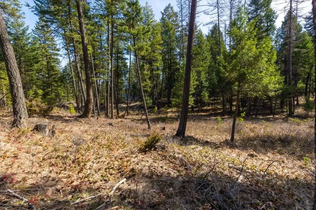 81 Scholar Lane Whitefish MT 59937