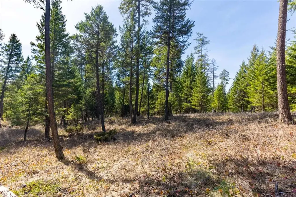 81 Scholar Lane Whitefish MT 59937