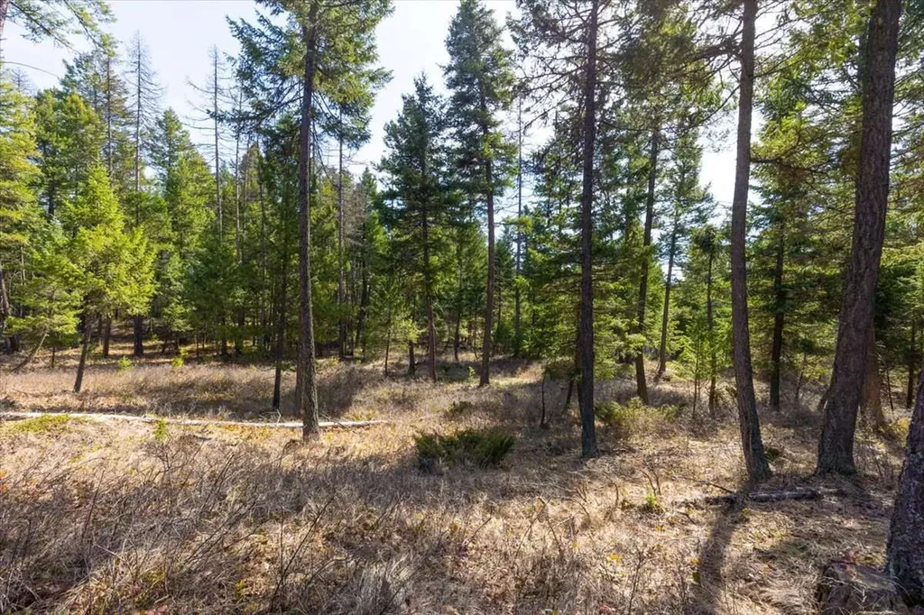 81 Scholar Lane Whitefish MT 59937