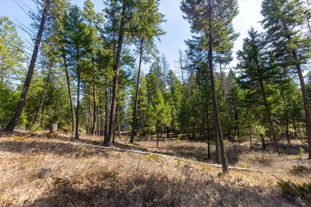 81 Scholar Lane Whitefish MT 59937