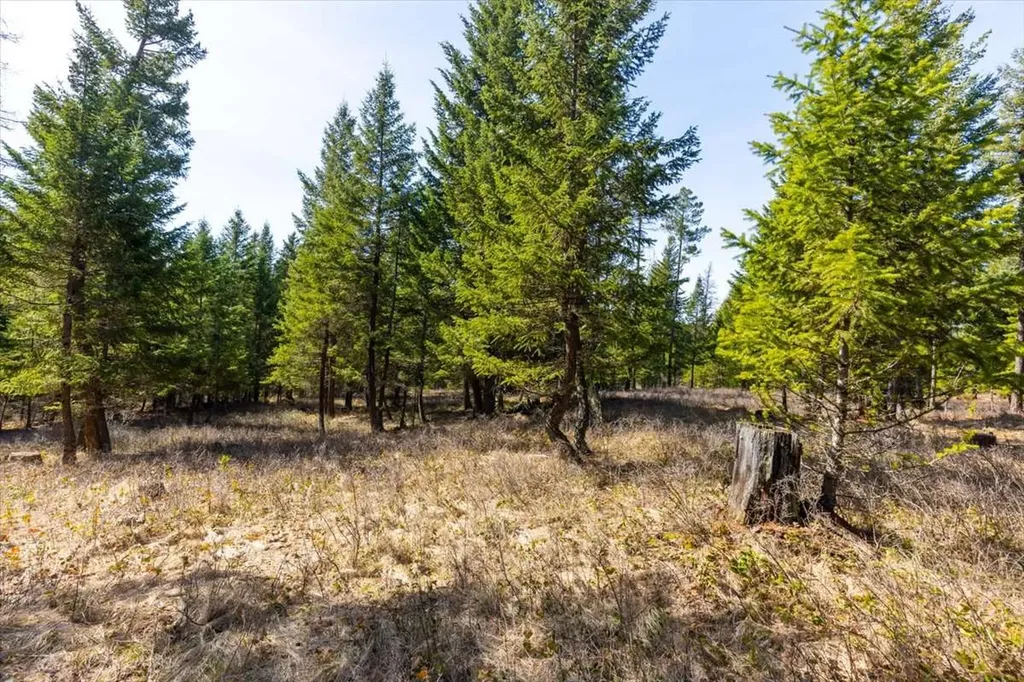 81 Scholar Lane Whitefish MT 59937