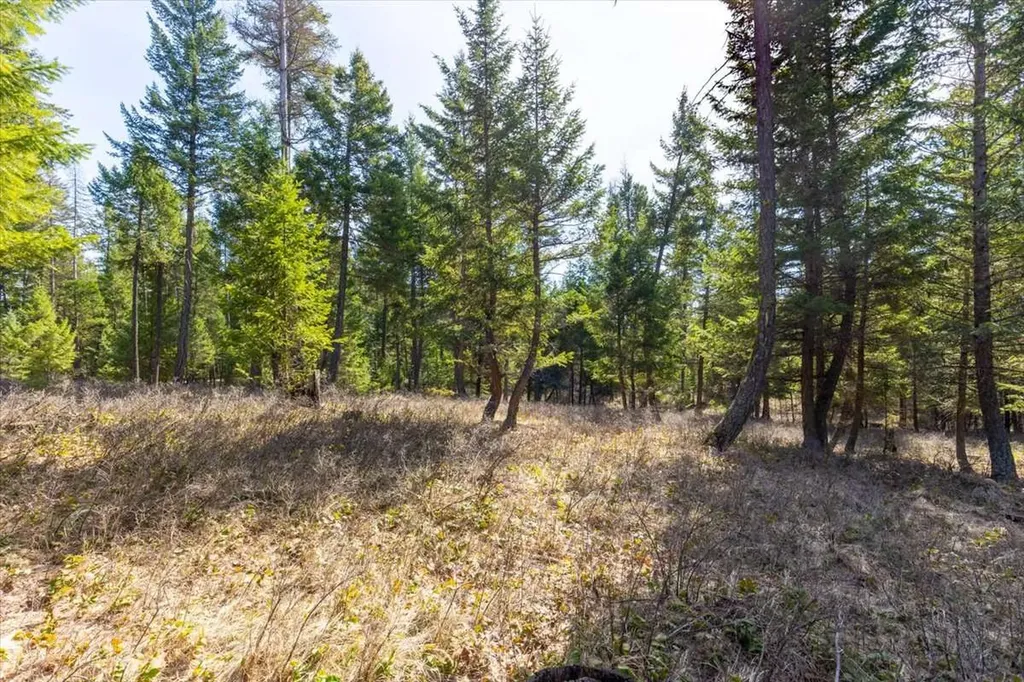 81 Scholar Lane Whitefish MT 59937