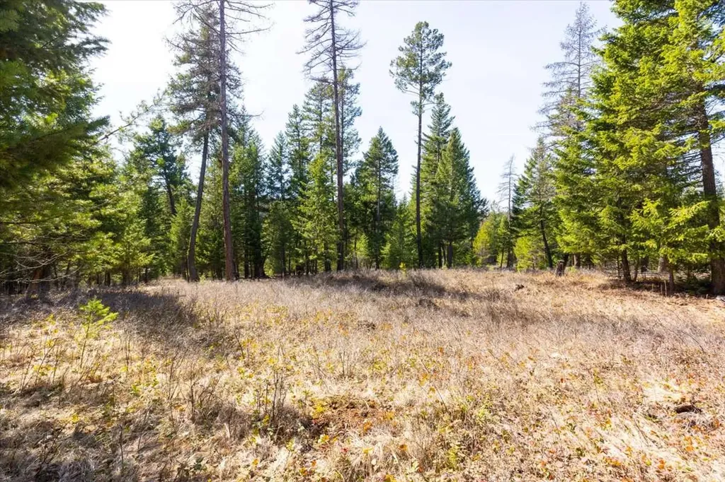 81 Scholar Lane Whitefish MT 59937