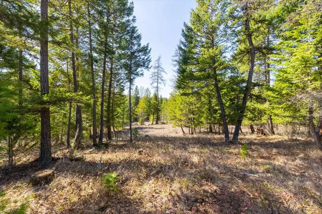 81 Scholar Lane Whitefish MT 59937