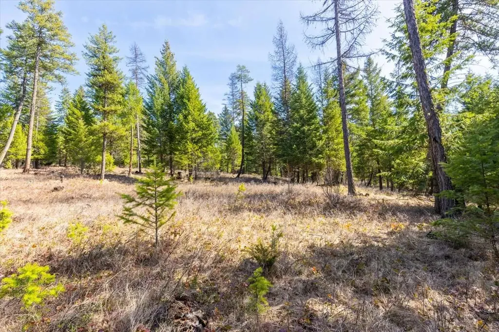 81 Scholar Lane Whitefish MT 59937