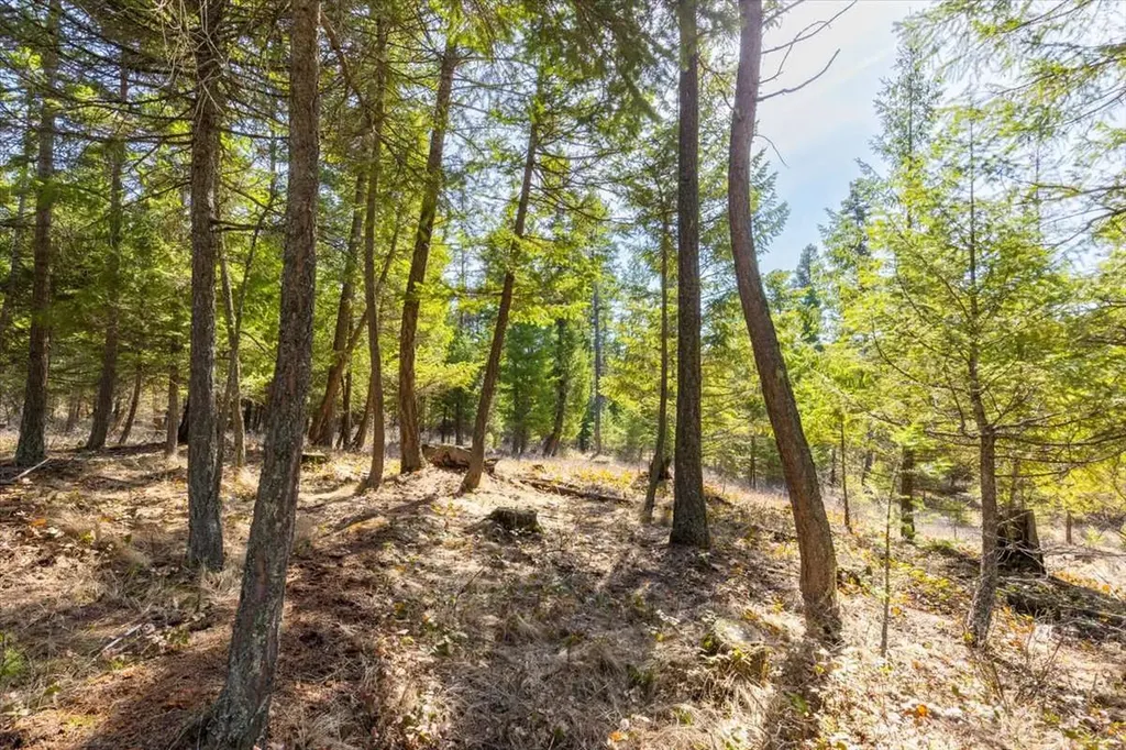 81 Scholar Lane Whitefish MT 59937