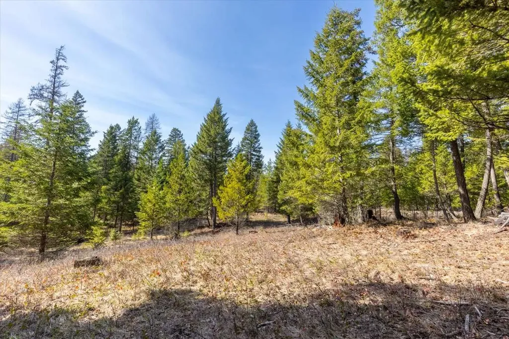 81 Scholar Lane Whitefish MT 59937