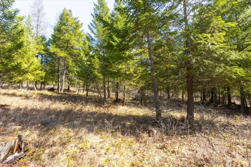 81 Scholar Lane Whitefish MT 59937
