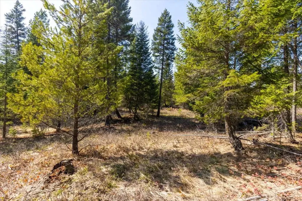 81 Scholar Lane Whitefish MT 59937