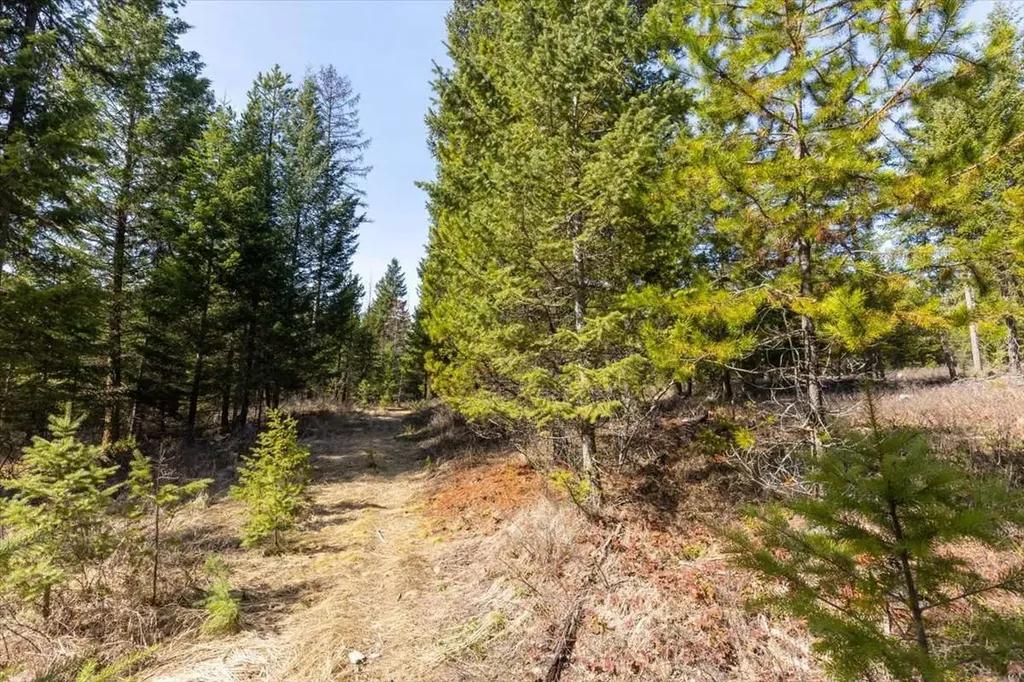 81 Scholar Lane Whitefish MT 59937