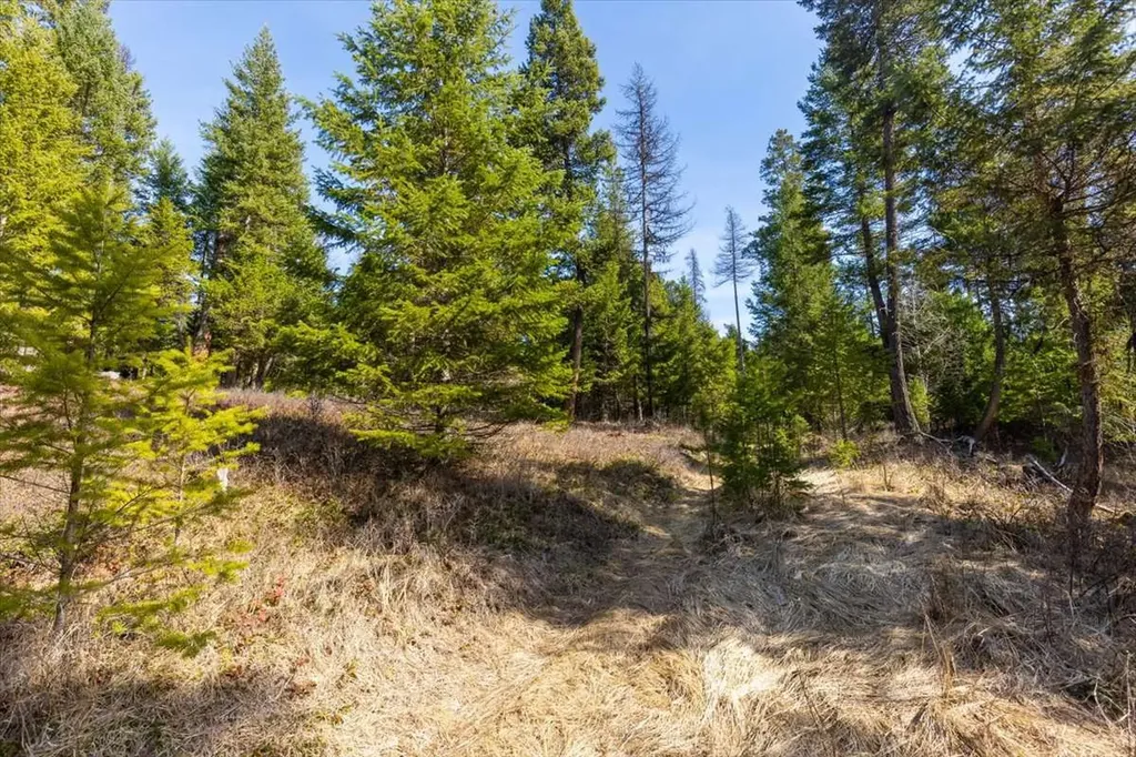 81 Scholar Lane Whitefish MT 59937